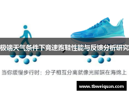 极端天气条件下竞速跑鞋性能与反馈分析研究
