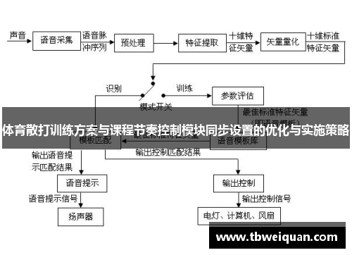 体育散打训练方案与课程节奏控制模块同步设置的优化与实施策略