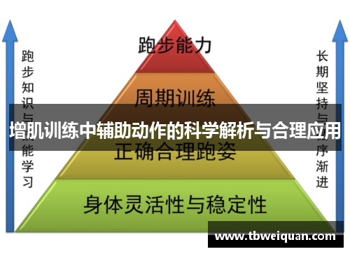 增肌训练中辅助动作的科学解析与合理应用