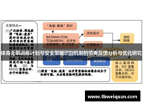 体育无氧训练计划与安全策略识别机制的节奏反馈分析与优化研究