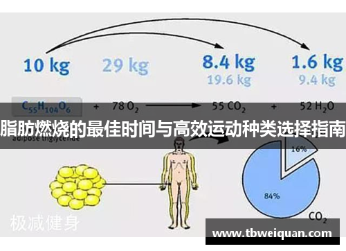 脂肪燃烧的最佳时间与高效运动种类选择指南